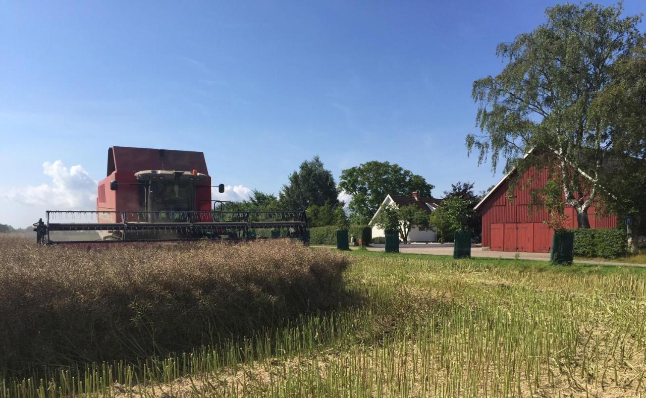 Lyckas Gards Gaestboende Hoganas Exterior photo