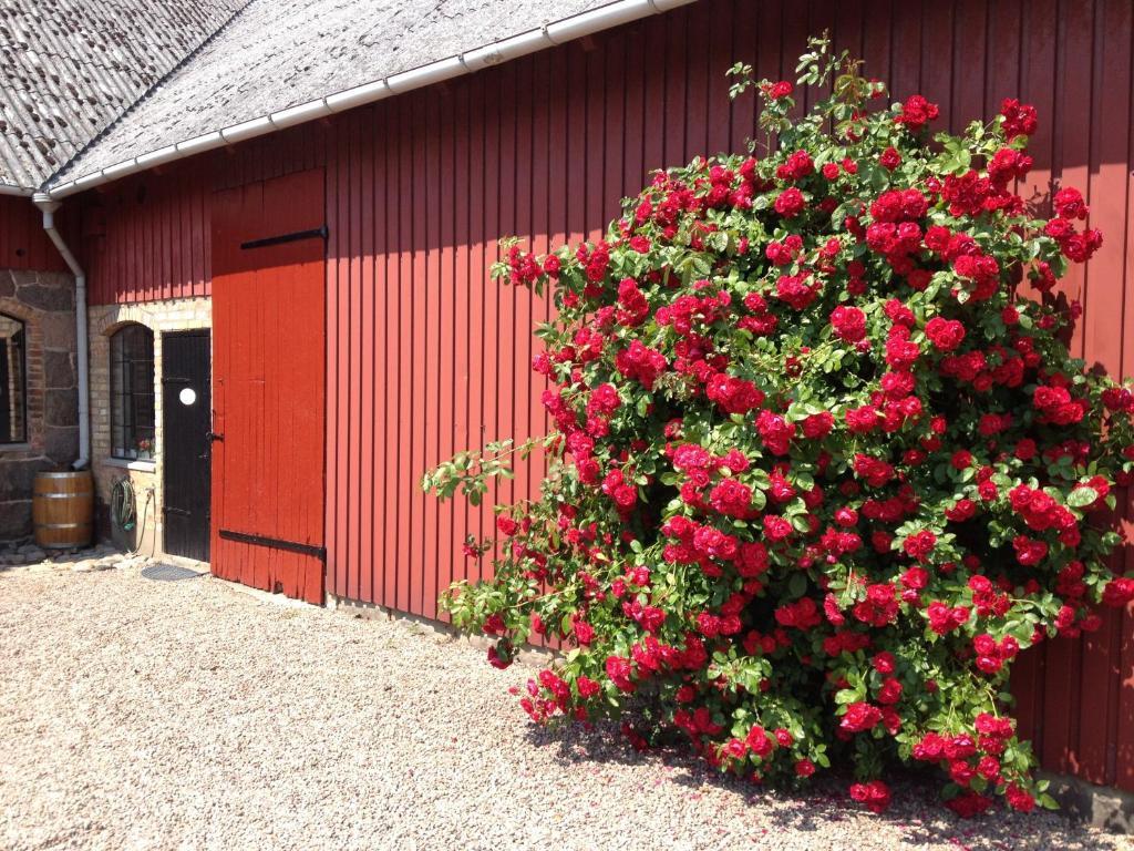 Lyckas Gards Gaestboende Hoganas Exterior photo